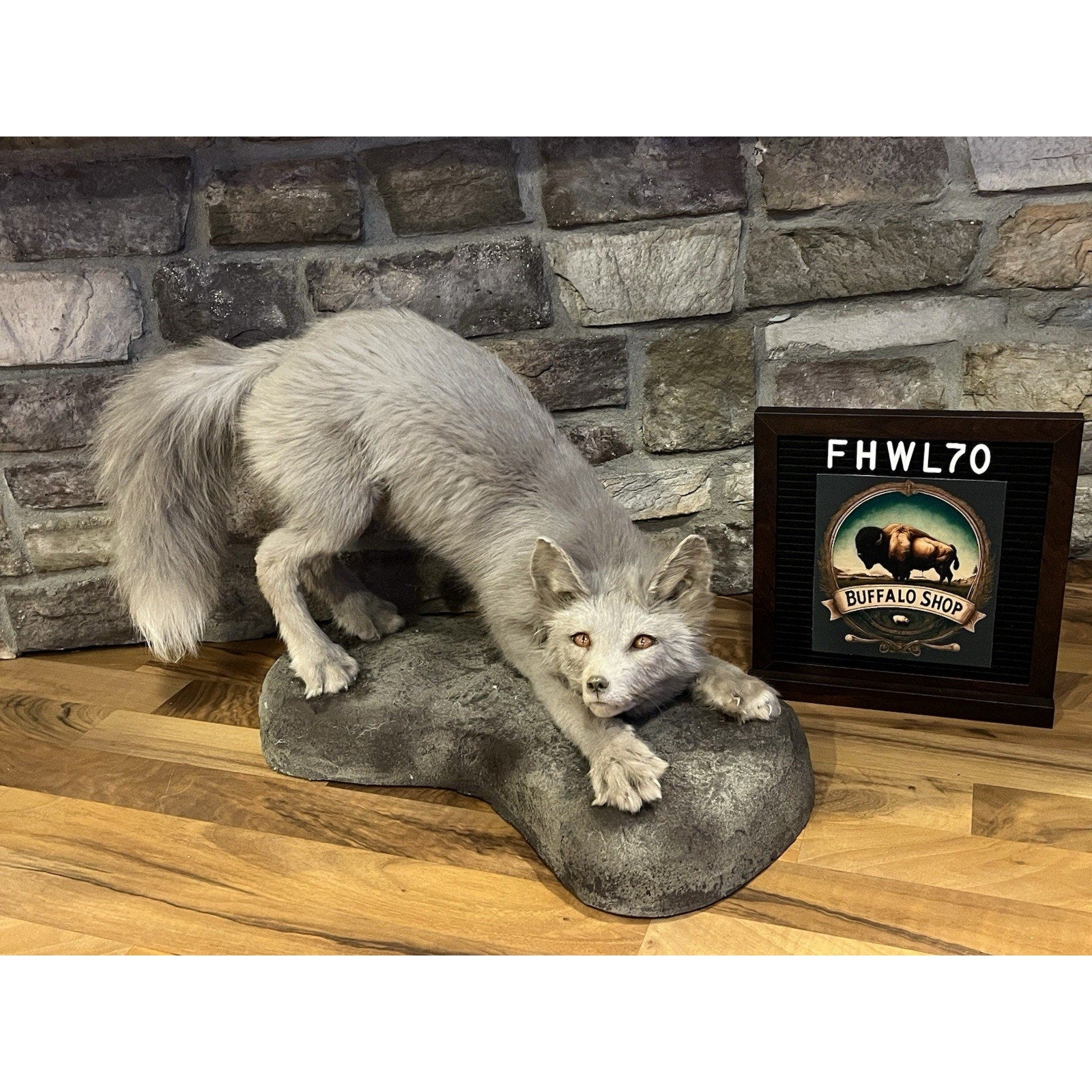 FHWL70 - Ranch Fox Pup Taxidermy Full Body Mount