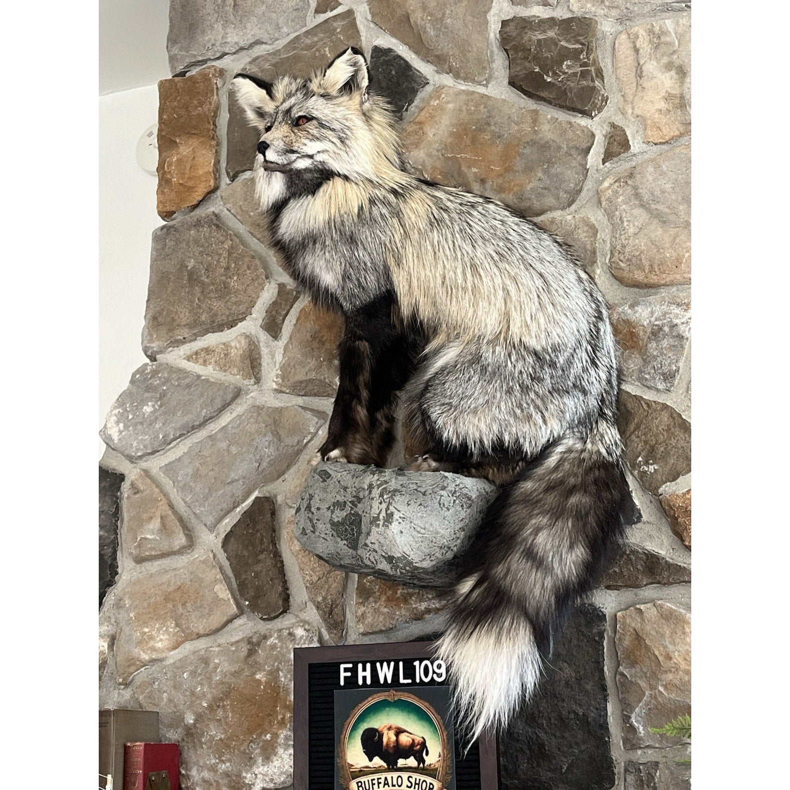 FHWL109 - Premium Fox Taxidermy Full Body Mount
