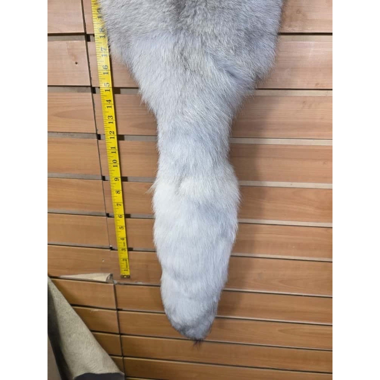 FHCM7- Blue Ranch Fox Soft Tanned Furs Taxidermy