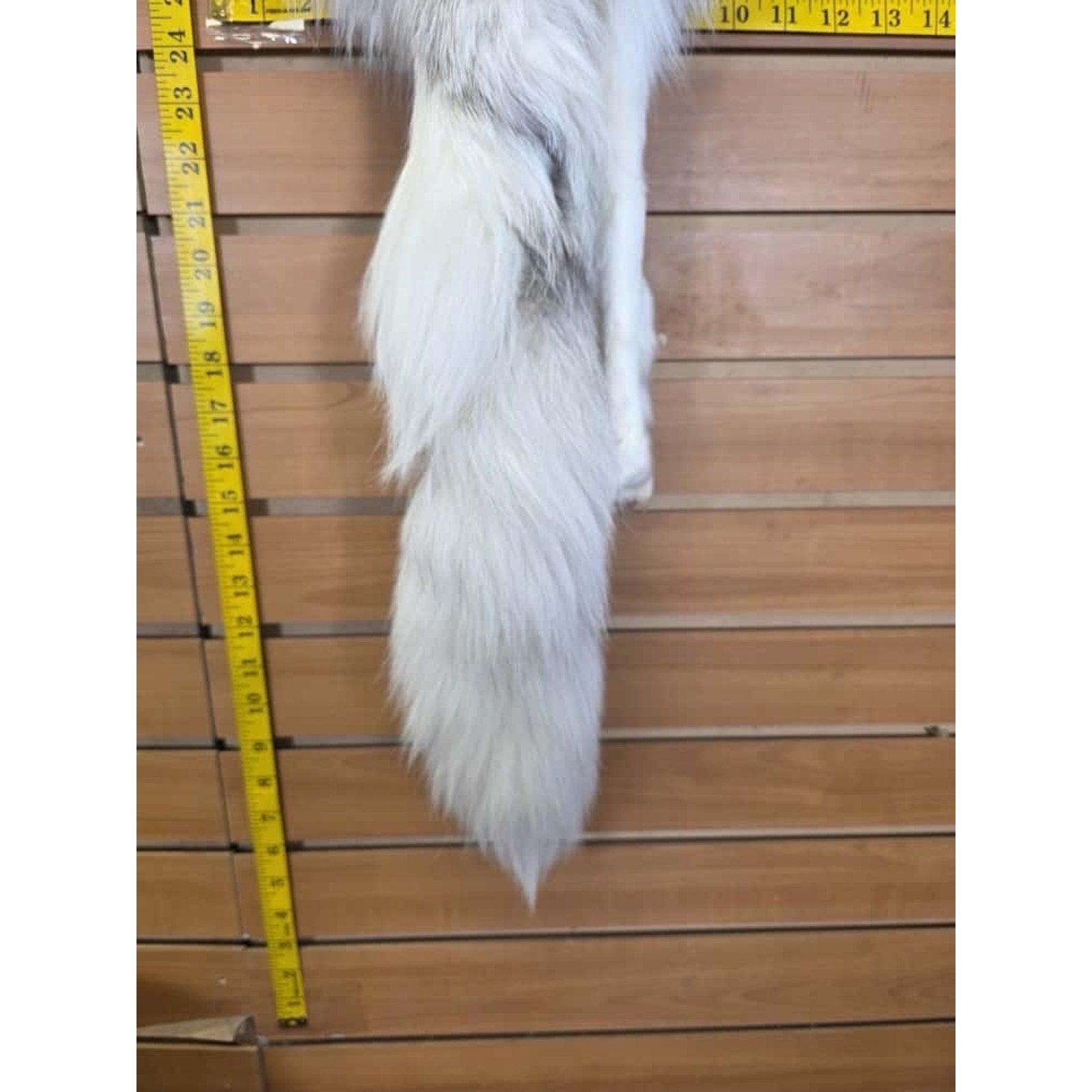 FHCM12 - Ranch Fox Soft Tanned Furs Taxidermy