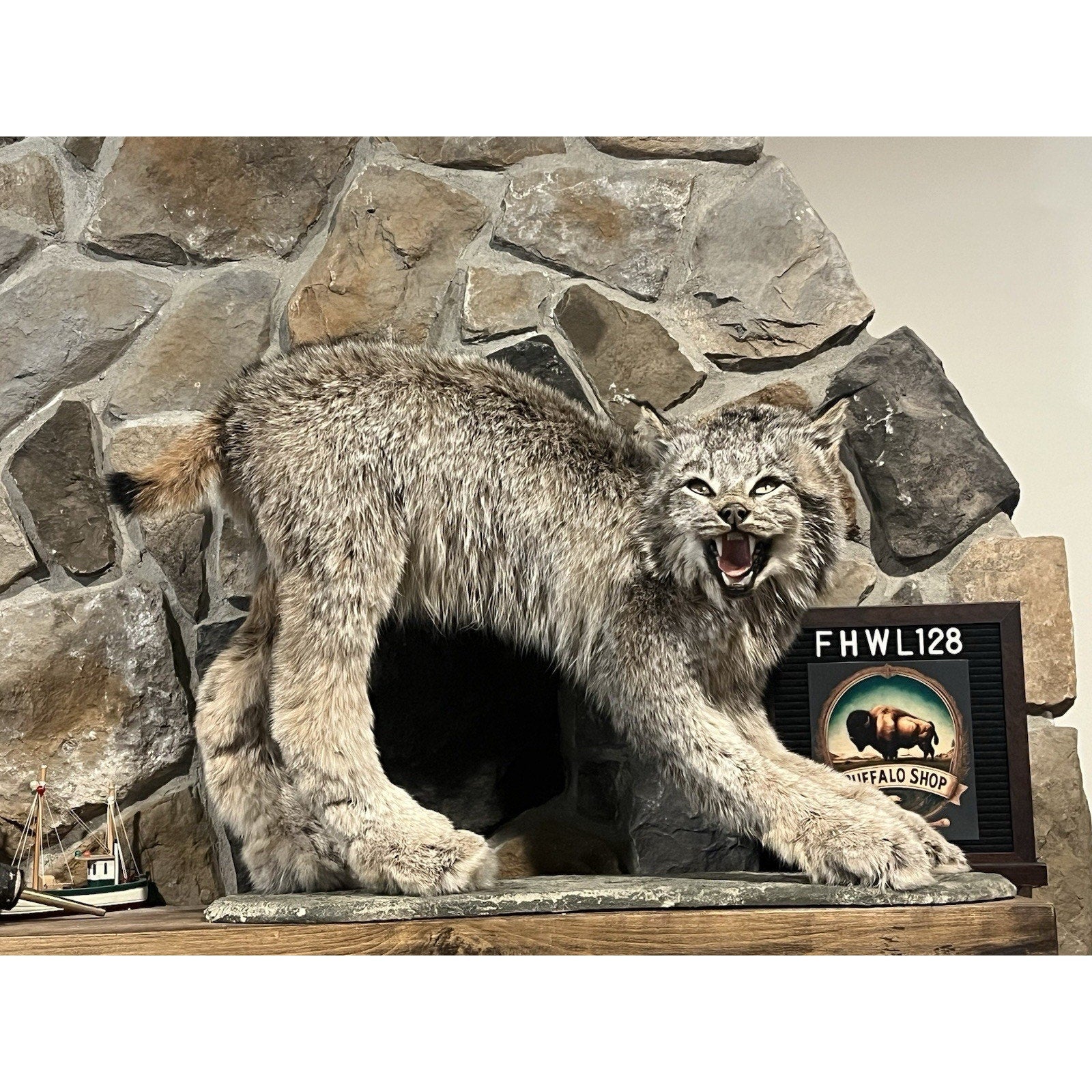 FHWL128 - Alaskan Lynx Taxidermy Full Body Mount Prime Fur