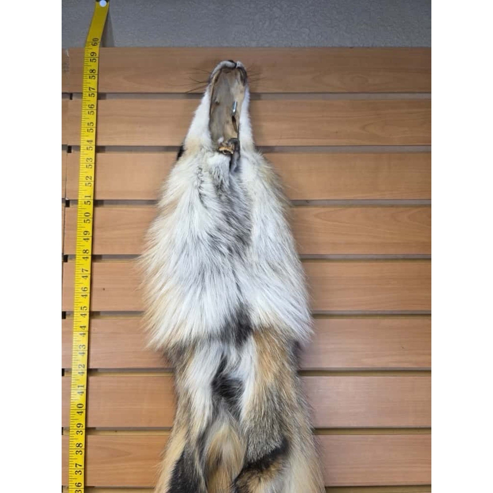 FHCM19 - Gorgeous Ranch Fox Soft Tanned Fur