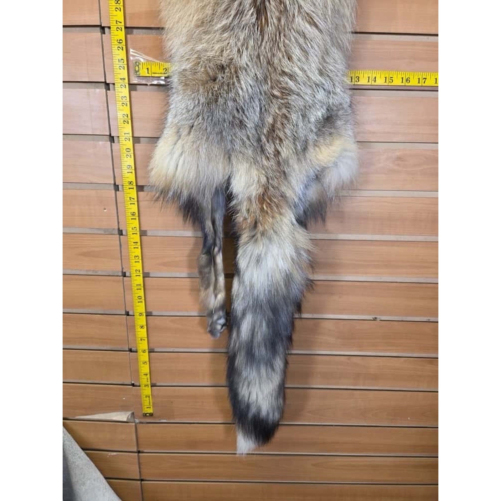 FHCM19 - Gorgeous Ranch Fox Soft Tanned Fur