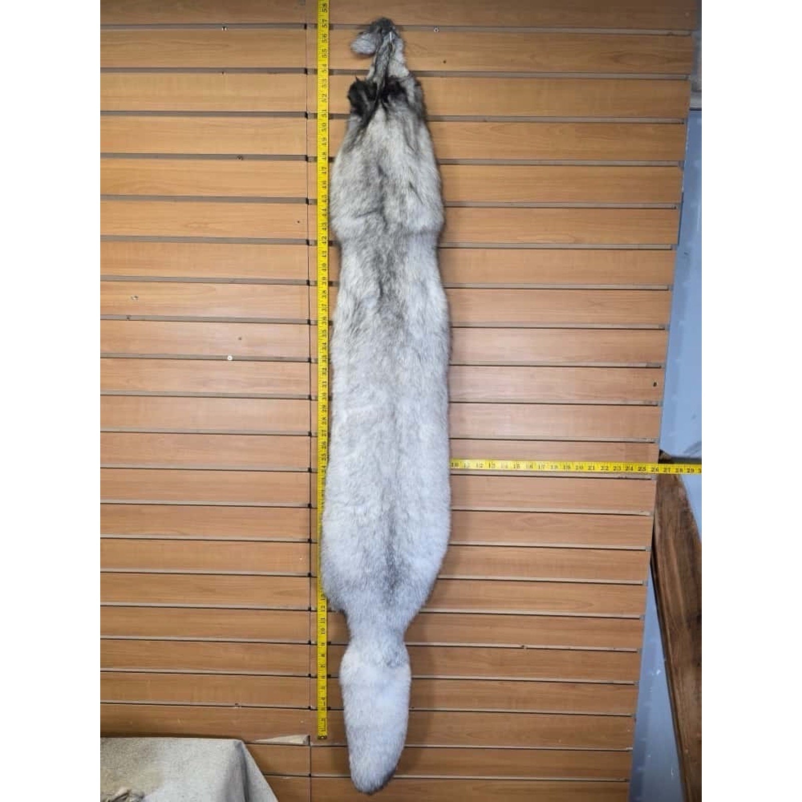 FHCM6- Blue Ranch Fox Soft Tanned Furs Taxidermy