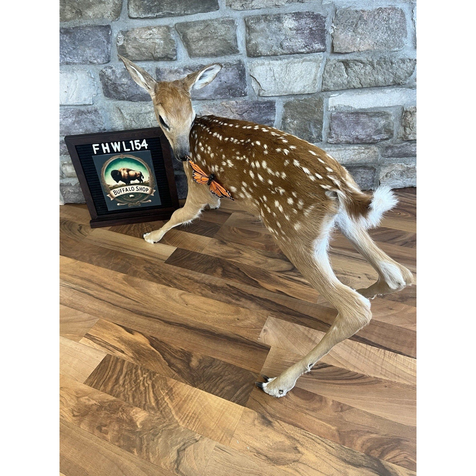 FHWL154 - Fawn Lifesize Taxidermy Mount Free Standing