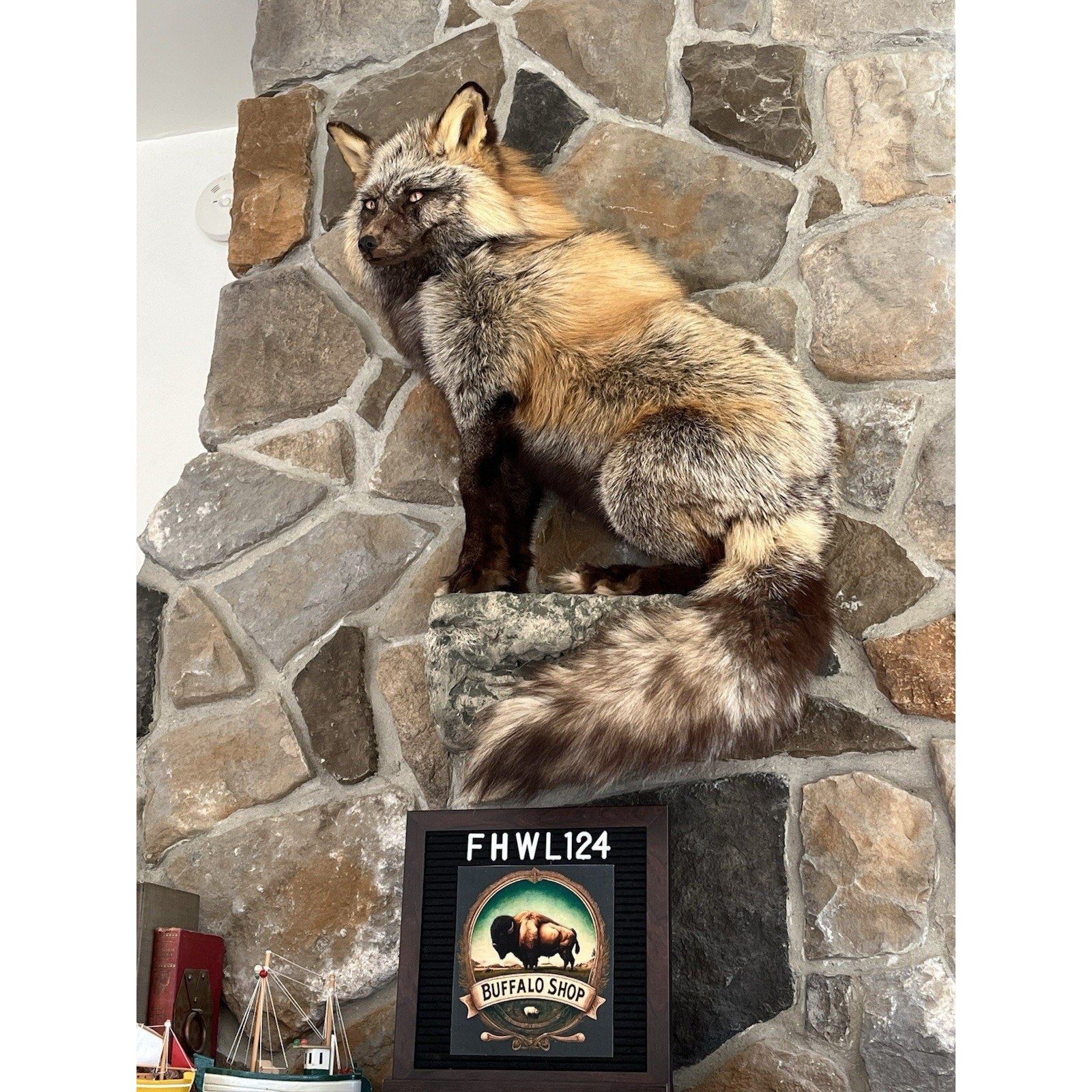 FHWL124 - Ranch Fox Taxidermy Full Body Mount