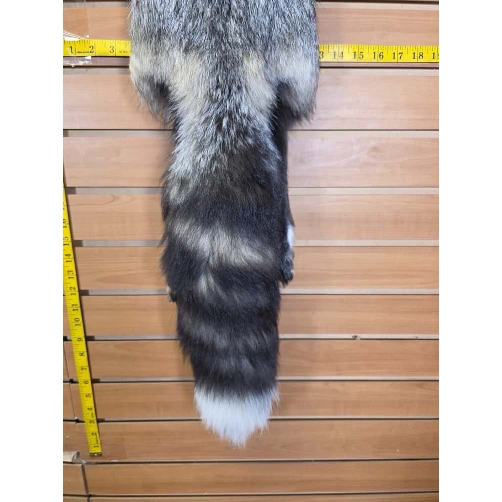 FHCM15 - Gorgeous Ranch Fox Soft Tanned Furs Taxidermy