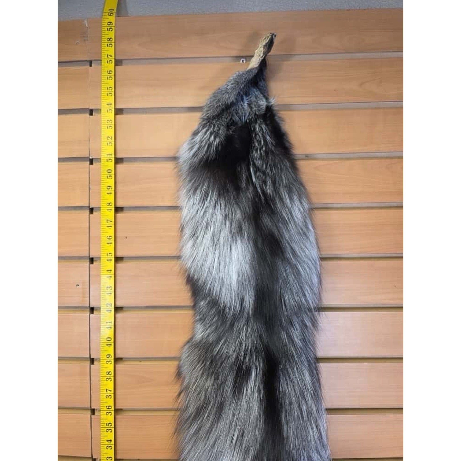 FHCM14 - Gorgeous Ranch Fox Soft Tanned Furs Taxidermy
