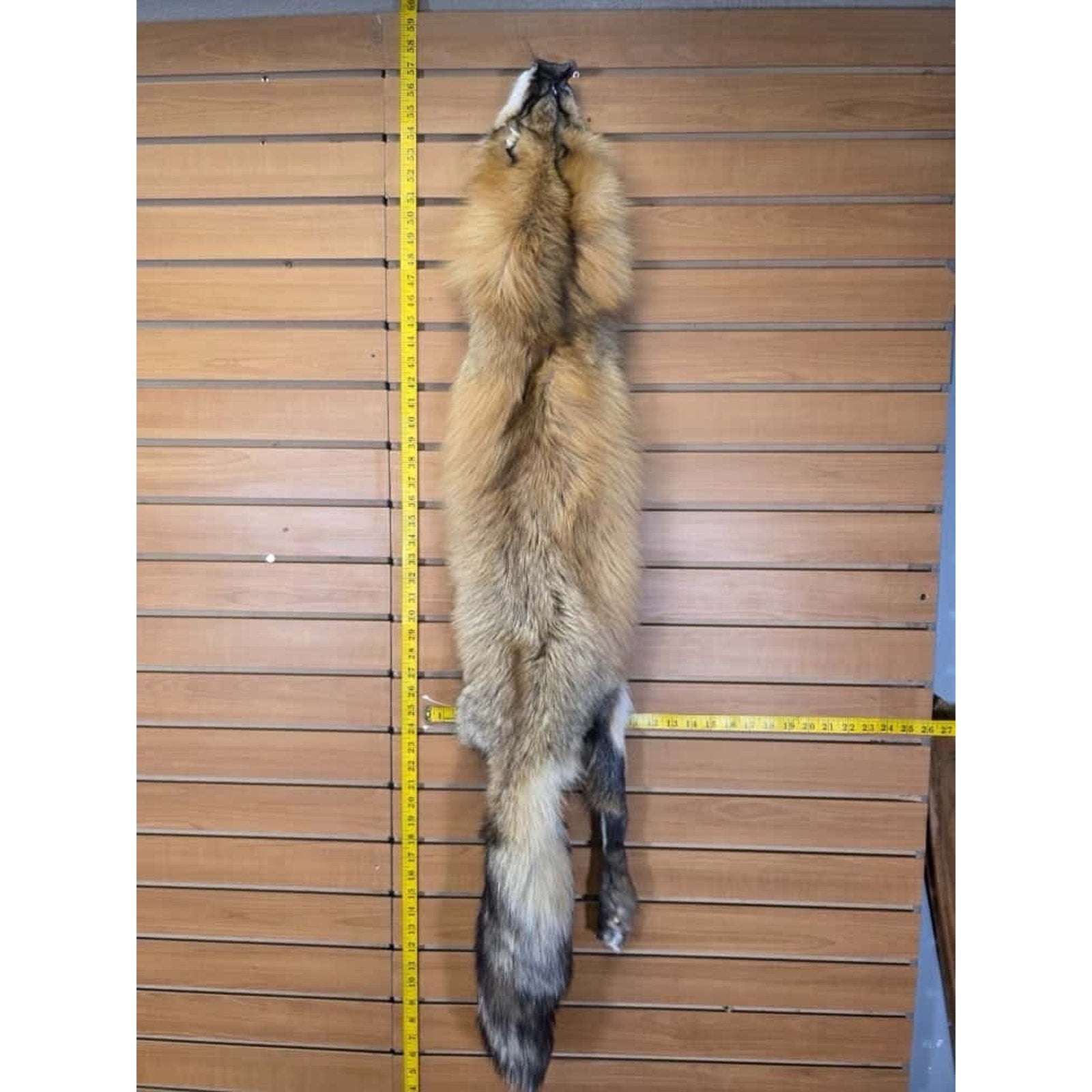 FHCM18 - Gorgeous Ranch Fox Soft Tanned Fur