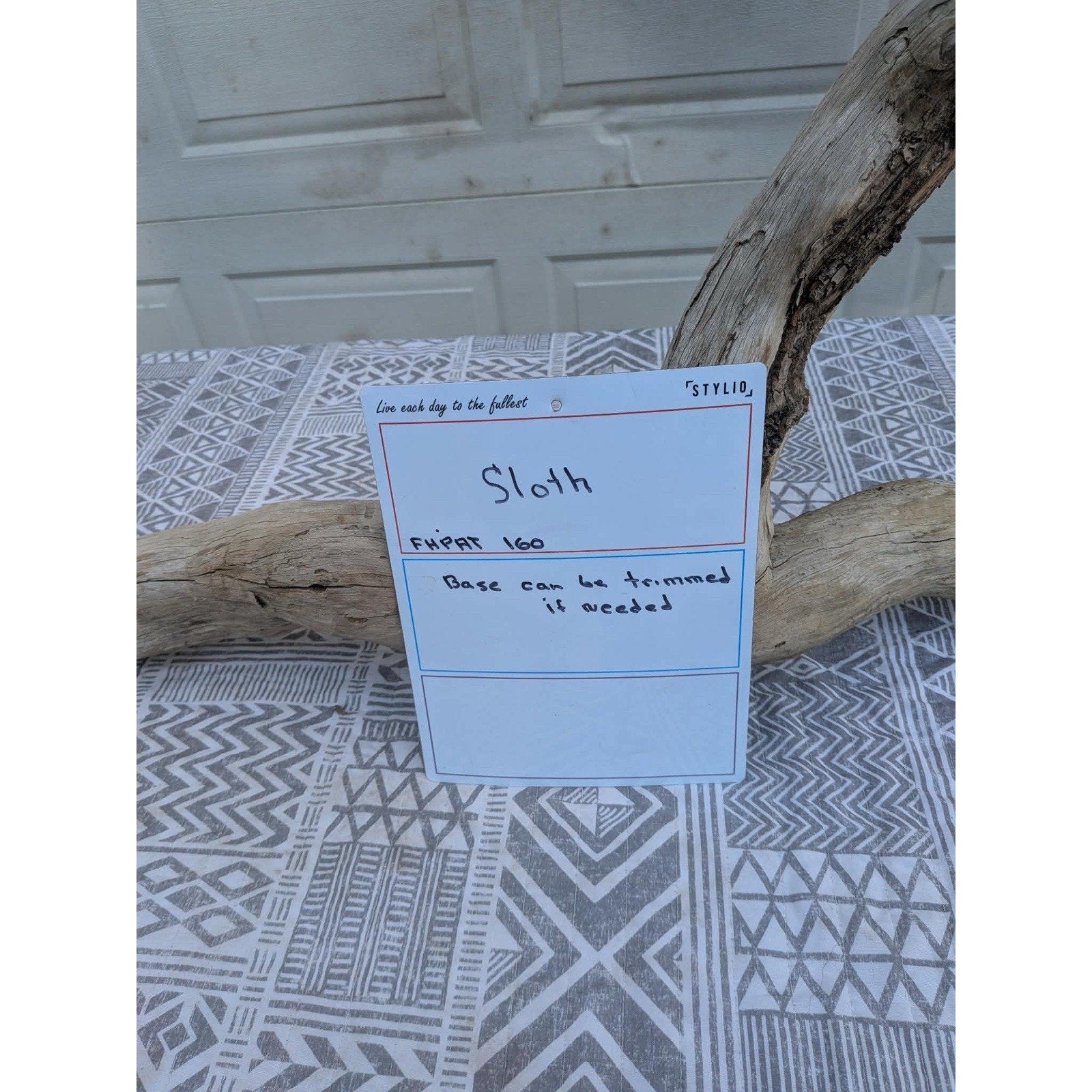 FHPAT160 - New Adult Sloth Taxidermy Mount Full Body