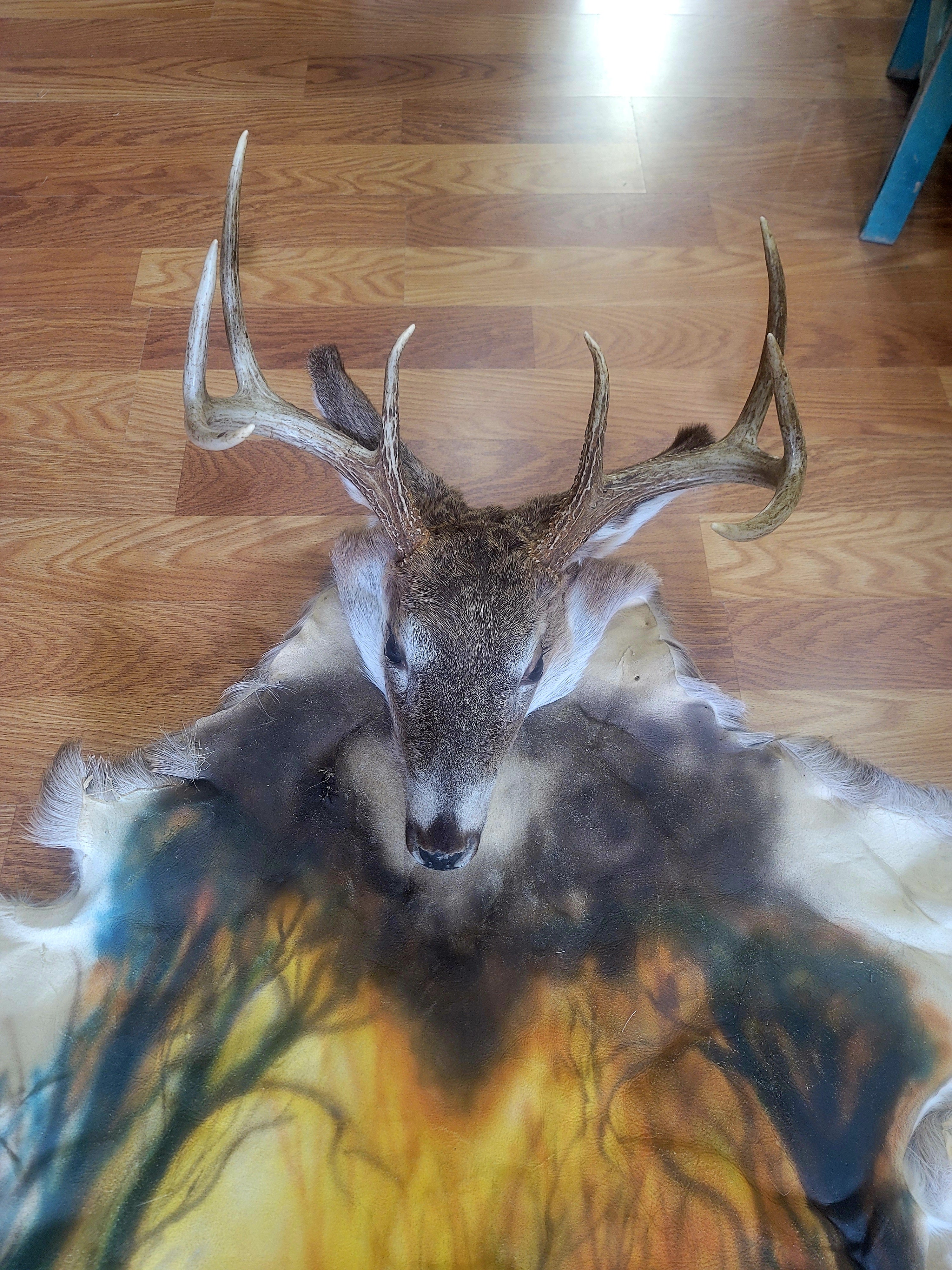 FHDEER300- Handpainted Deer Pelt Taxidermy