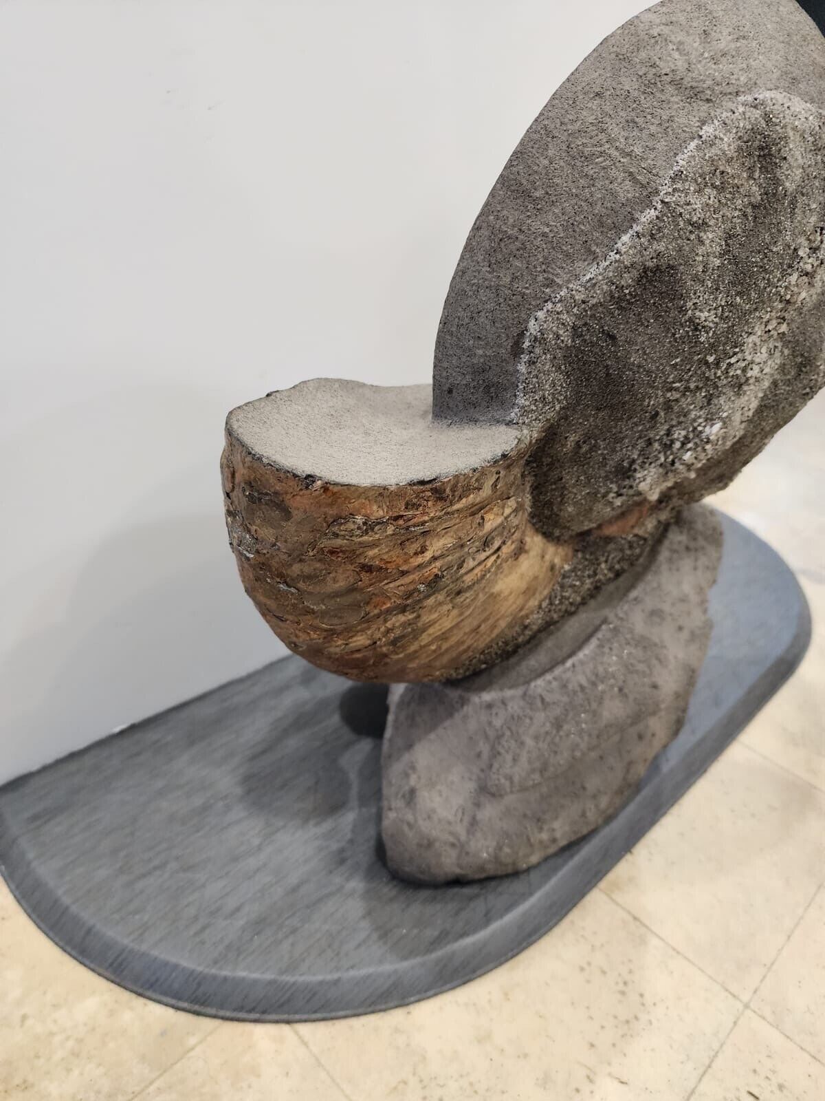 Giant Ammonite Fossils In Matrix
