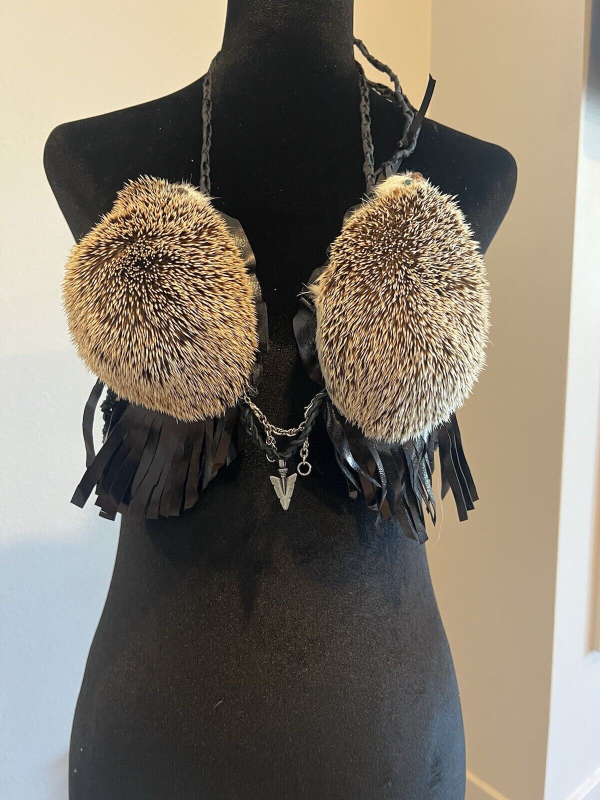 Real Hedgehog Bra Taxidermy Mount