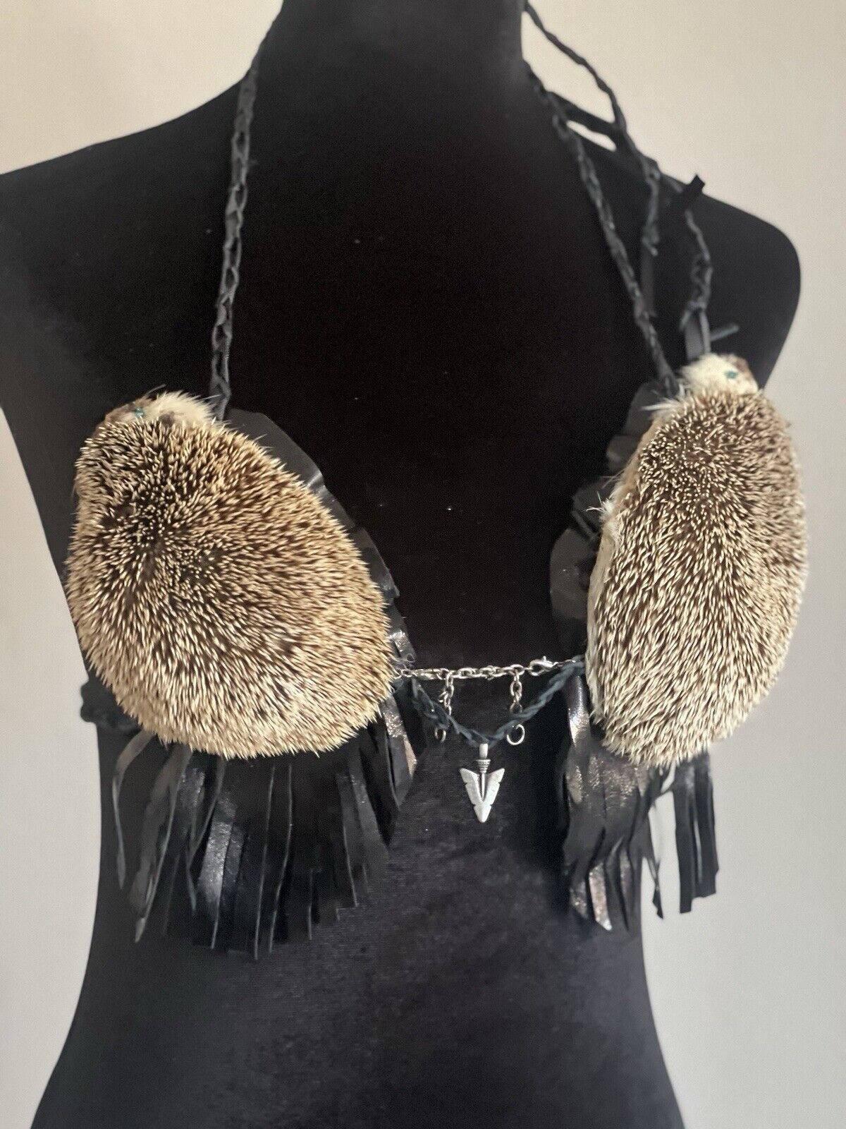 Real Hedgehog Bra Taxidermy Mount
