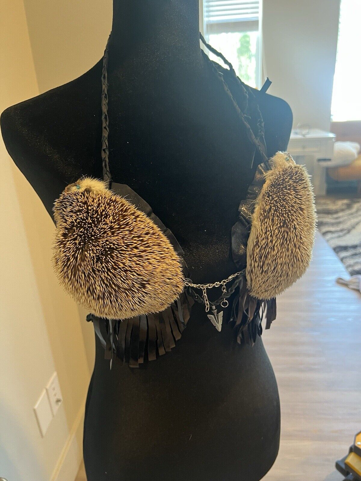 Real Hedgehog Bra Taxidermy Mount