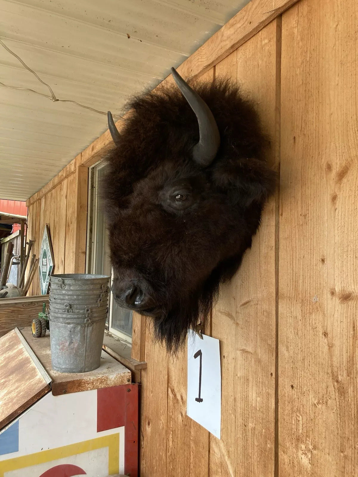 Real Buffalo / Bison Head Taxidermy Mount New Neck Mount (you Get One Pictured)