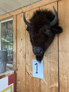 Real Buffalo / Bison Head Taxidermy Mount New Neck Mount (you Get One Pictured)