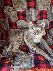 BOBCAT TAXIDERMY , Collectible,Log Cabin Decor,Outdoors,Hunting