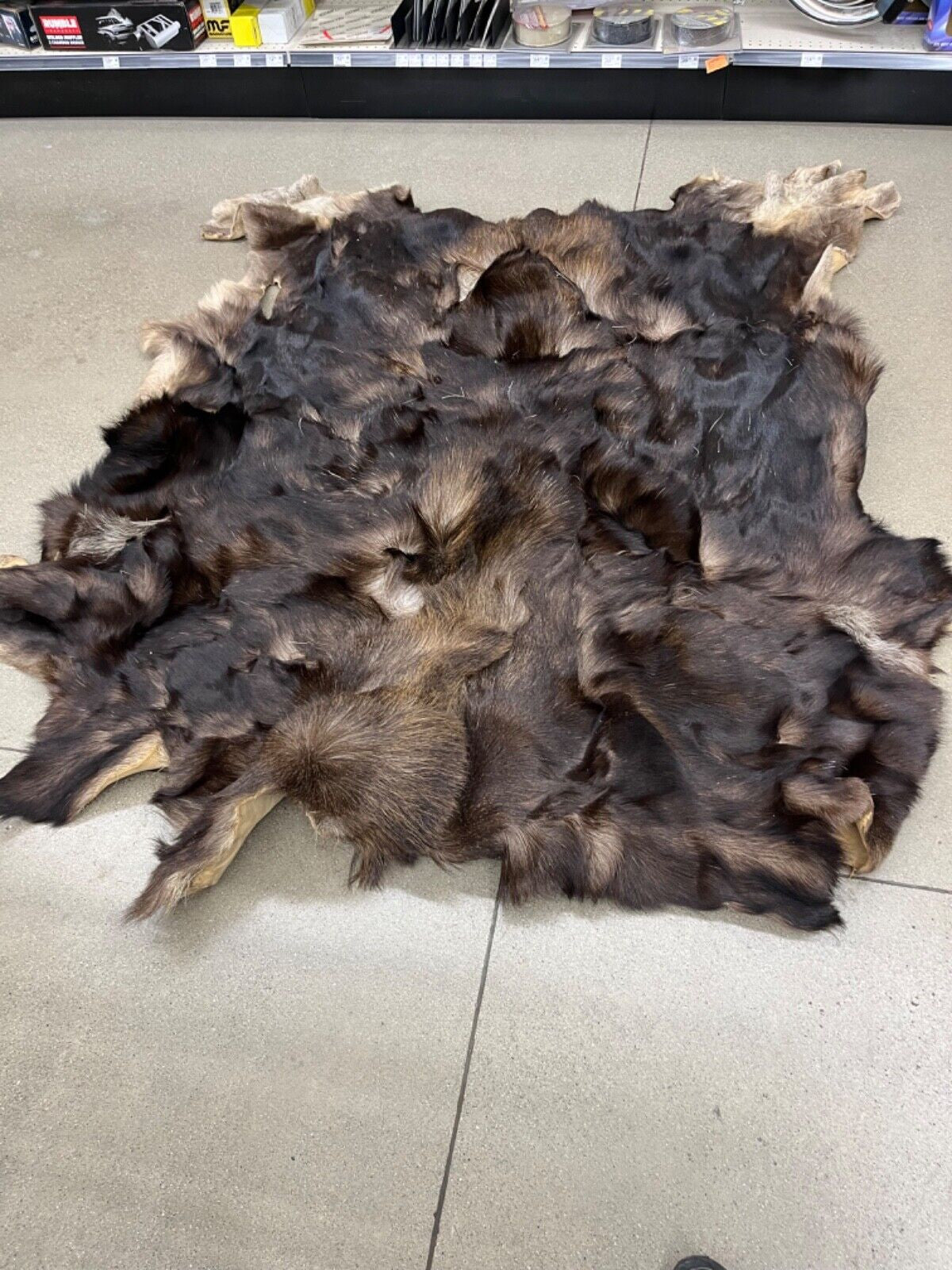 Moose Skin Very Good Condition