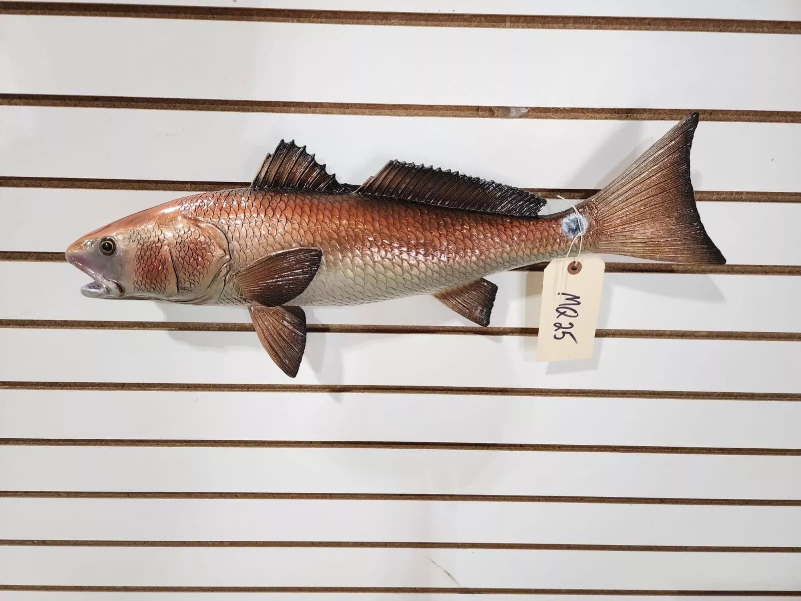 Beautiful Reproduction Redfish Taxidermy Wall Mount Art Wildlife