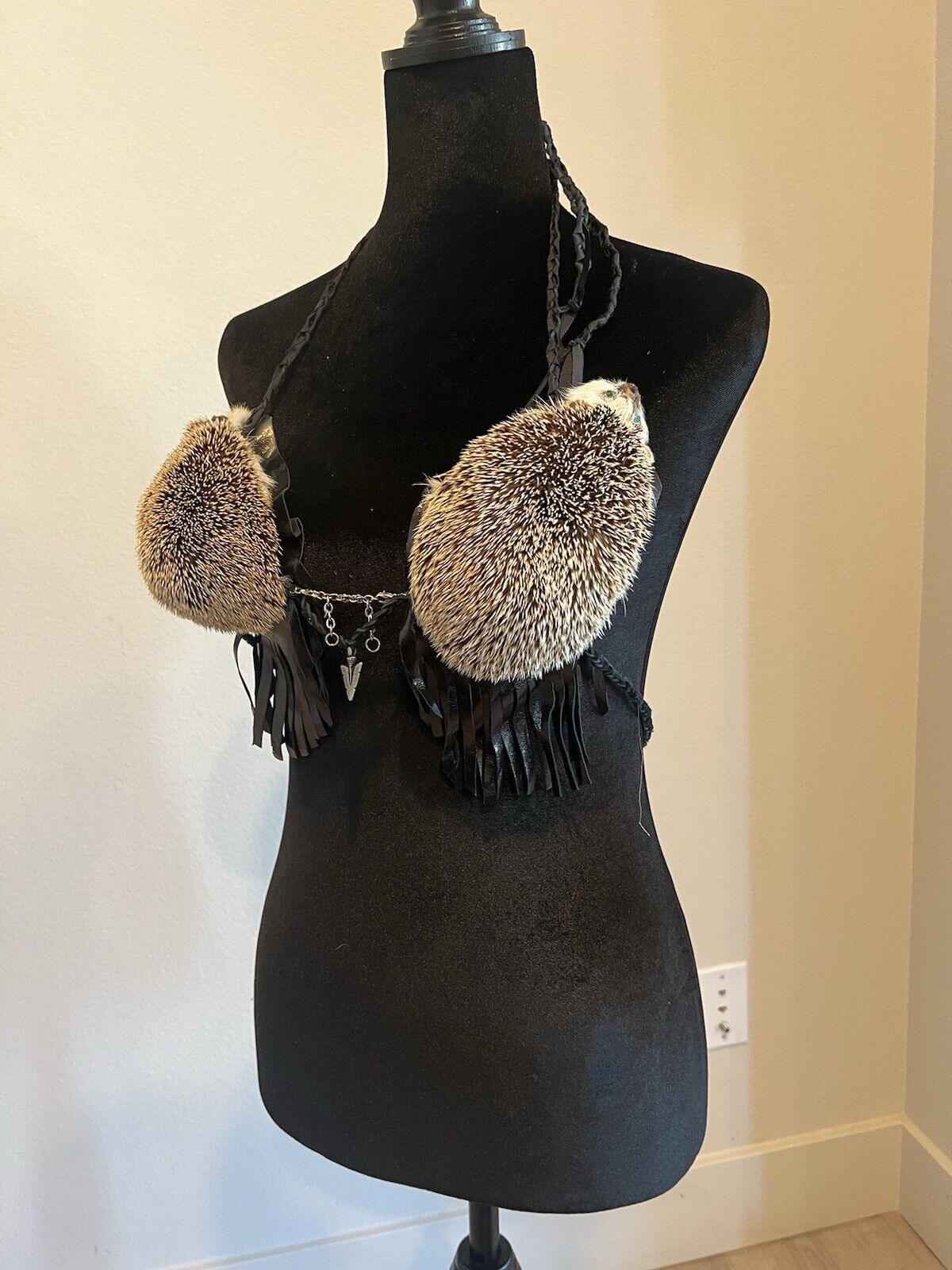 Real Hedgehog Bra Taxidermy Mount