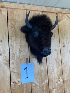 Real Buffalo / Bison Head Taxidermy Mount New Neck Mount (you Get One Pictured)