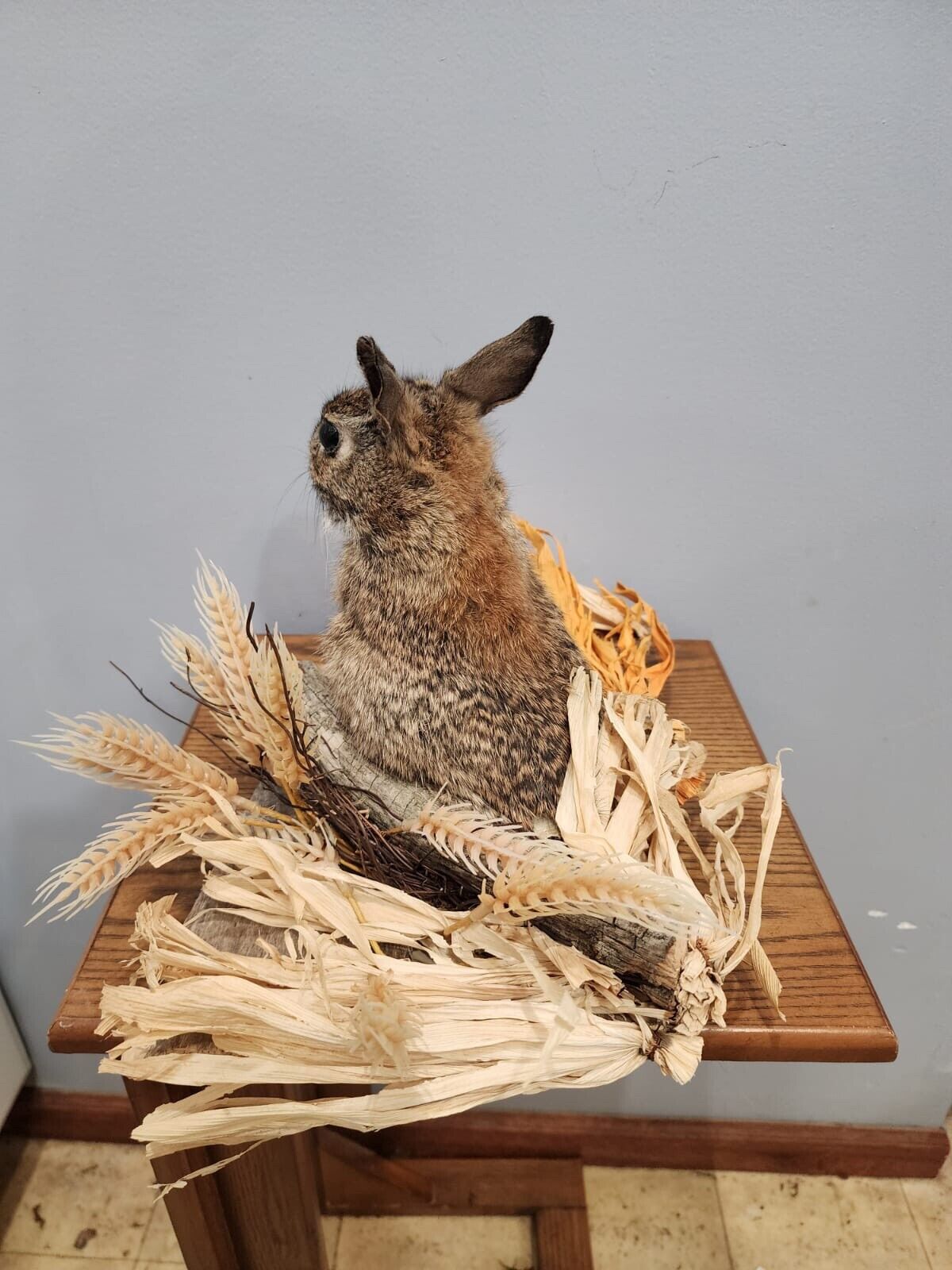 Taxidermy, CUTE, SOFT, Cottontail Rabbit, Easter Bunny Log Cabin Lodge