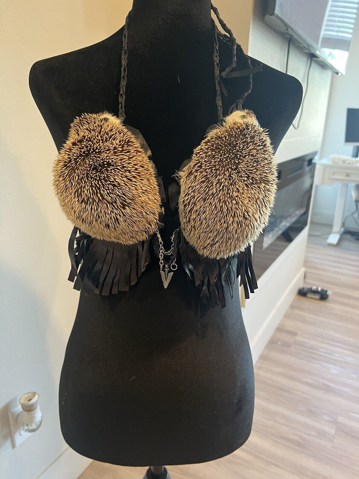 Real Hedgehog Bra Taxidermy Mount