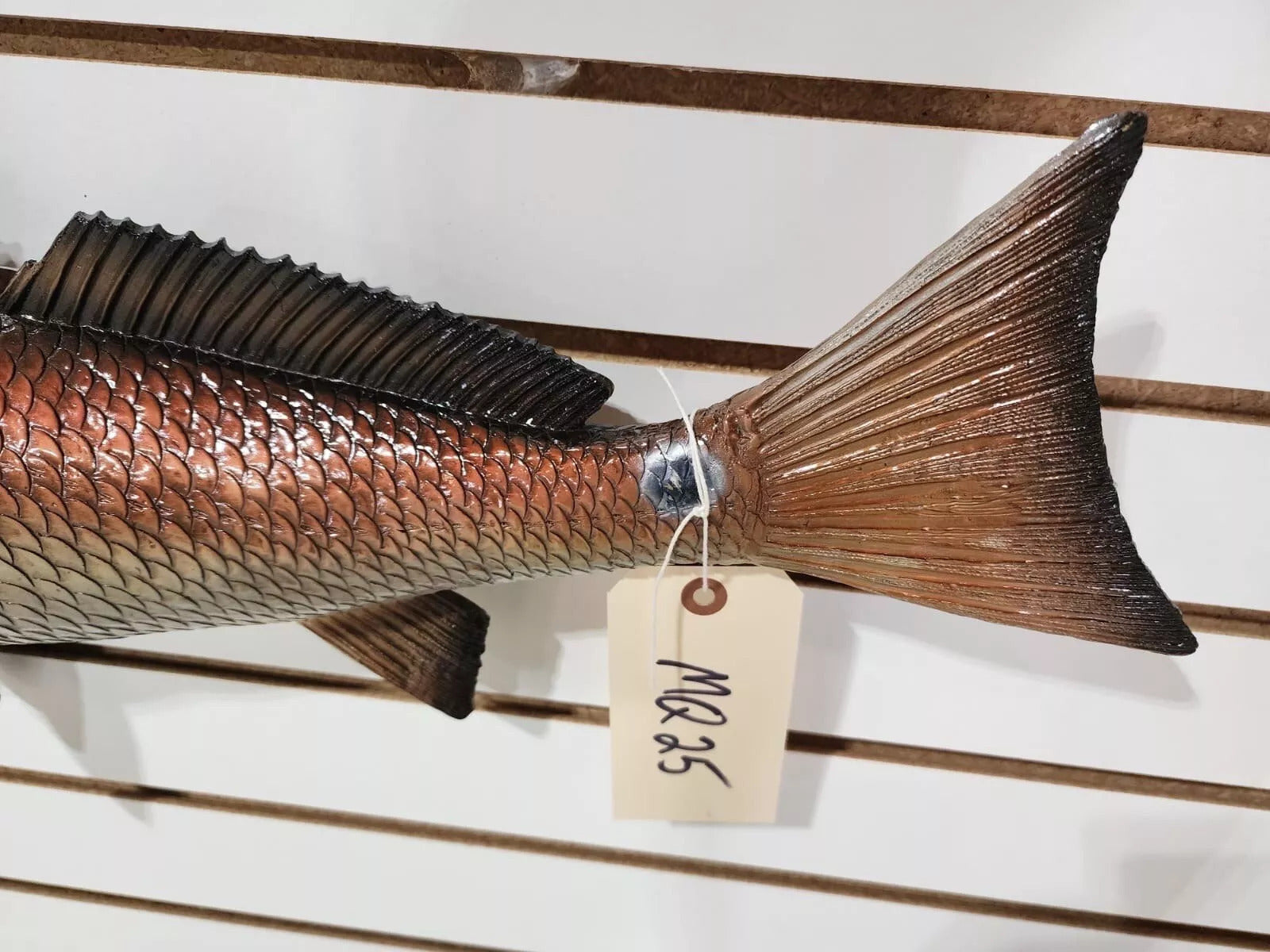 Beautiful Reproduction Redfish Taxidermy Wall Mount Art Wildlife