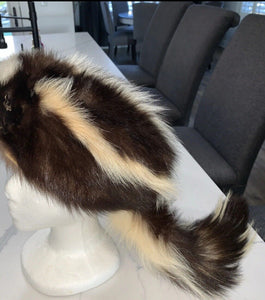 Stunning Long Fur White Fluffly SKUNK Hat Taxidermy Mount