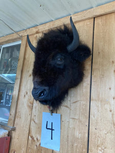 Real Buffalo / Bison Head Taxidermy Mount New Neck Mount (you Get One Pictured)