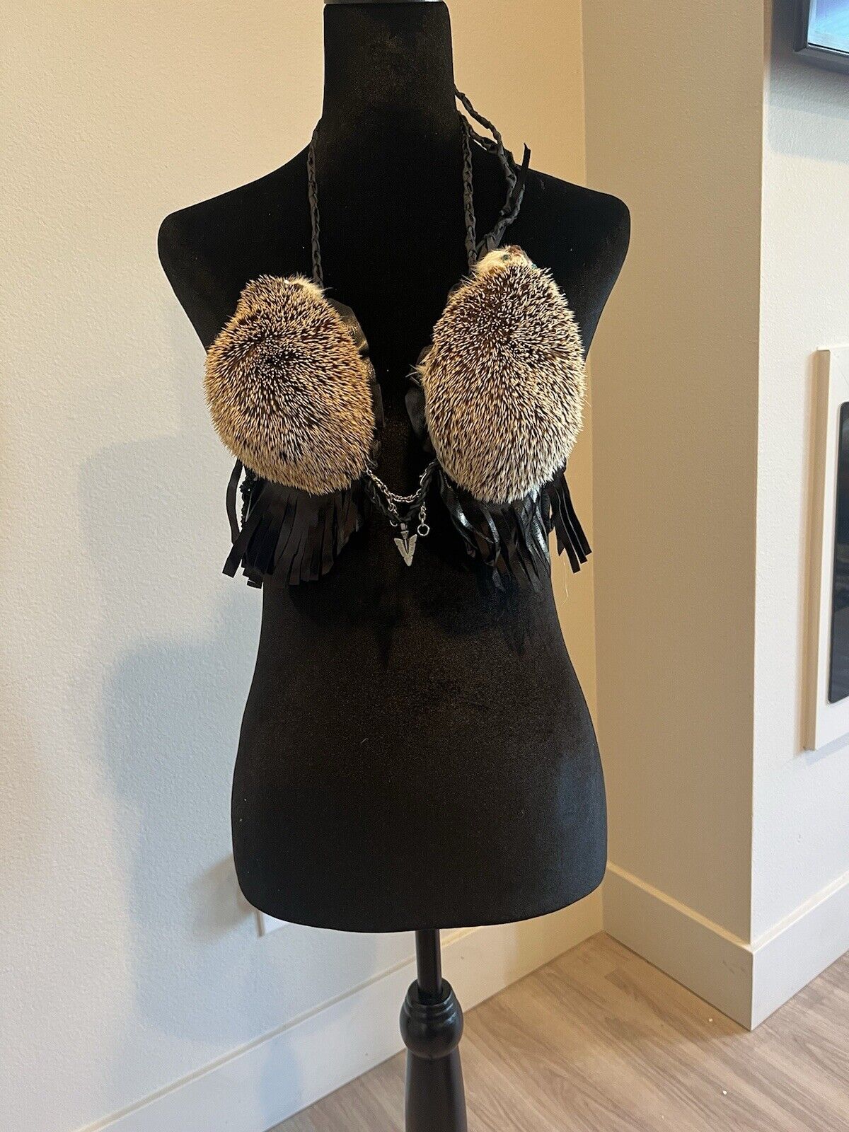 Real Hedgehog Bra Taxidermy Mount