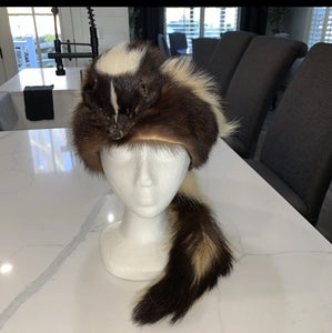 Stunning Long Fur White Fluffly SKUNK Hat Taxidermy Mount