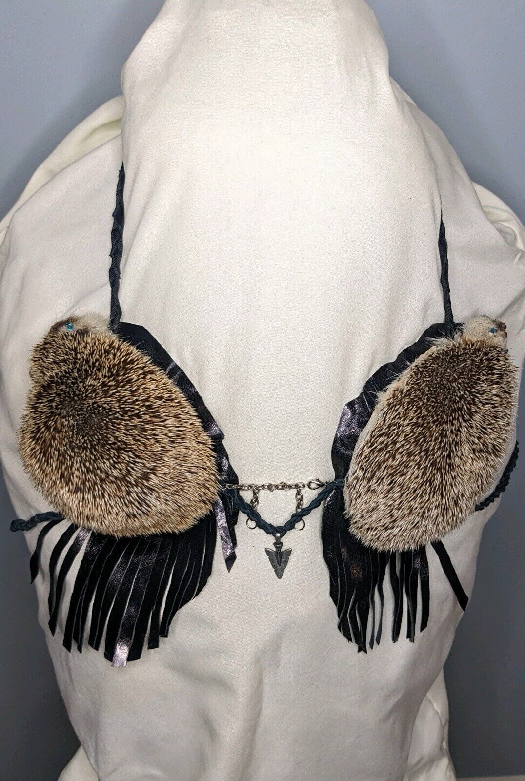 Real Hedgehog Bra Taxidermy Mount