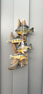 Real Skin Beautiful Sunfish Fish Taxidermy Wall Mount