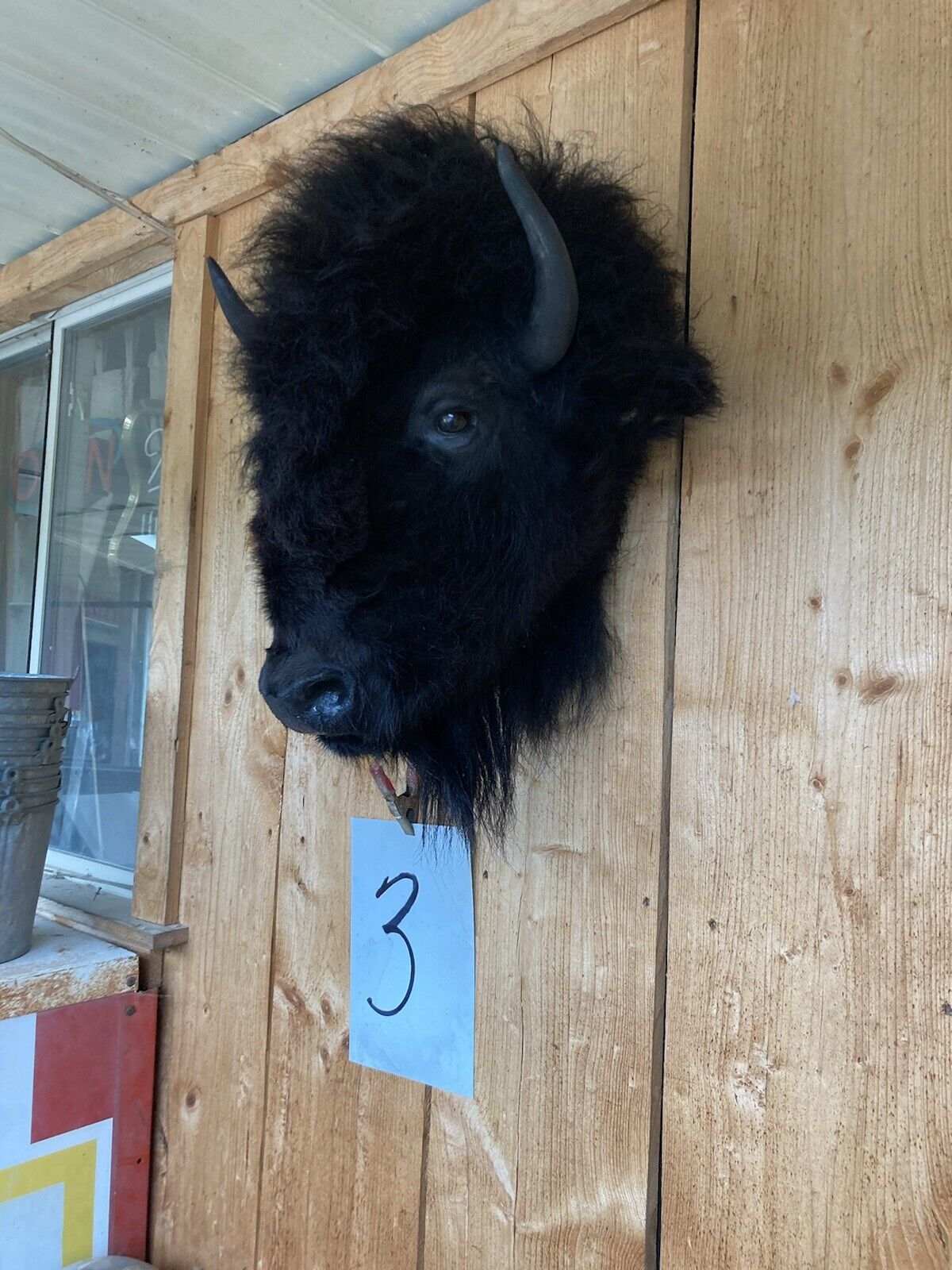 Mark Buffalo / Bison Head Taxidermy Mount New Neck Mount
