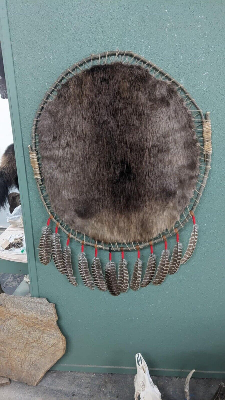 Hooped Beaver Hide, pelt, fur, trapping, hunt, cabin decor, rustic, taxidermy