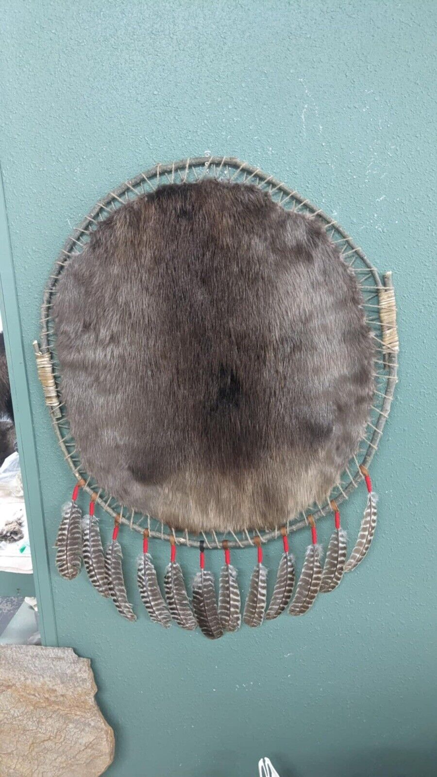 Hooped Beaver Hide, pelt, fur, trapping, hunt, cabin decor, rustic, taxidermy