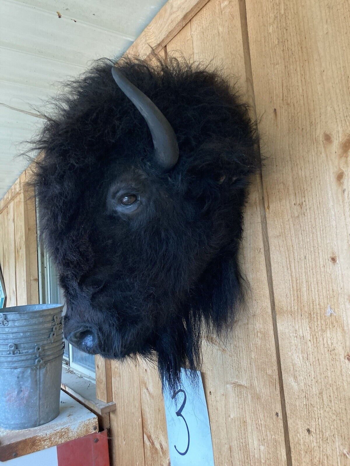 Mark Buffalo / Bison Head Taxidermy Mount New Neck Mount