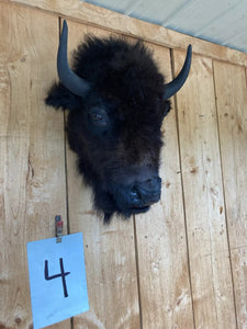 Real Buffalo / Bison Head Taxidermy Mount New Neck Mount (you Get One Pictured)