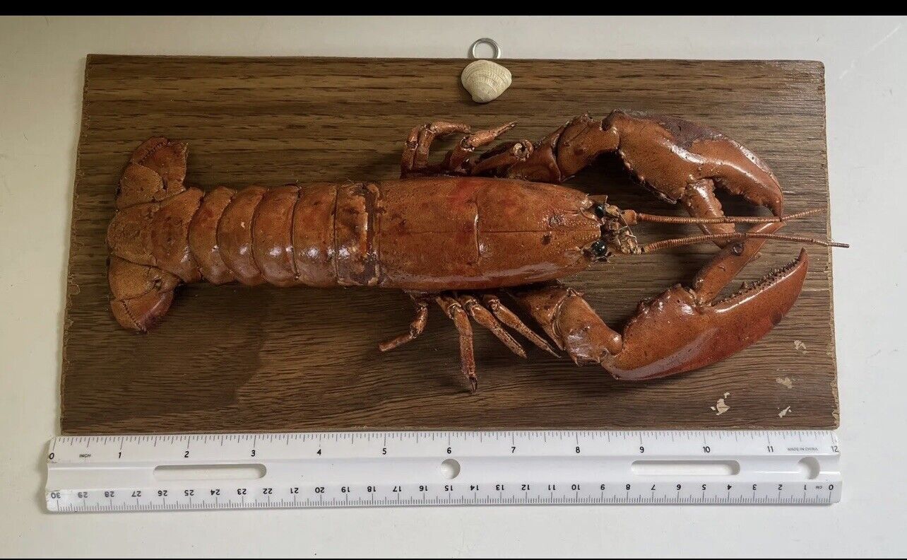 TAXIDERMY LOBSTER Vintage Mounted Sign Rustic Beach House Decor P.E. Island
