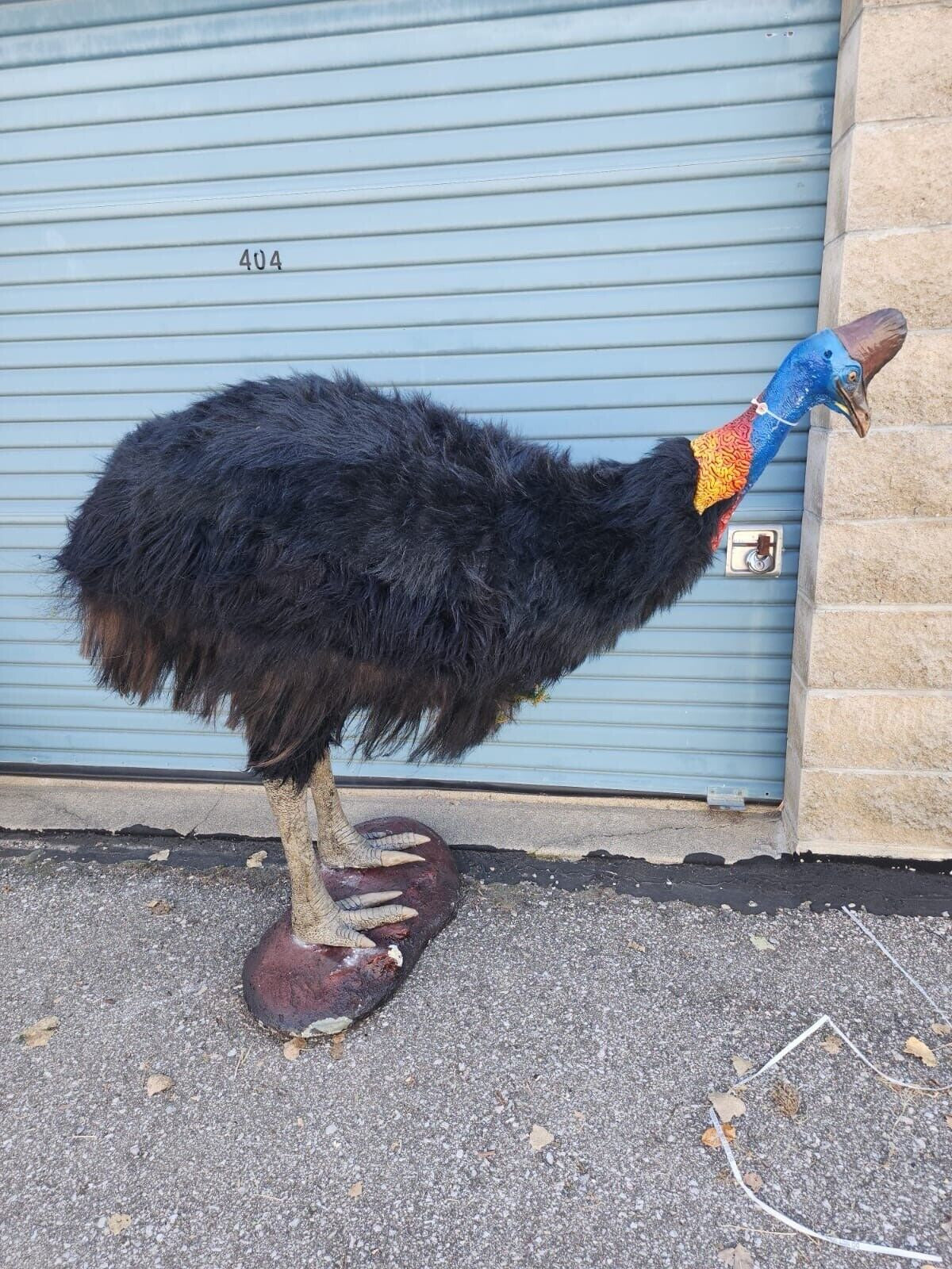 Reproduction Cassowary Taxidermy Full Body Mount Bird