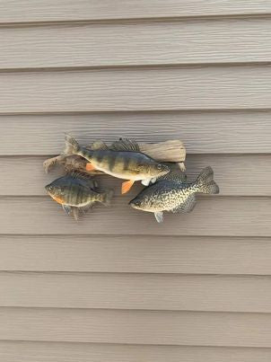 Fish mounts.