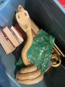 Vintage Taxidermy Cobra Snake