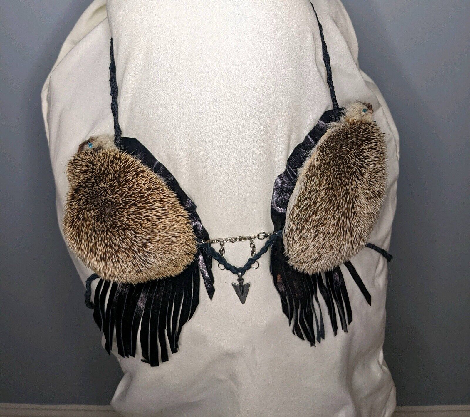 Real Hedgehog Bra Taxidermy Mount