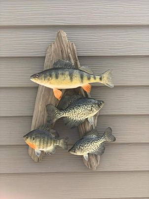 Fish mounts.