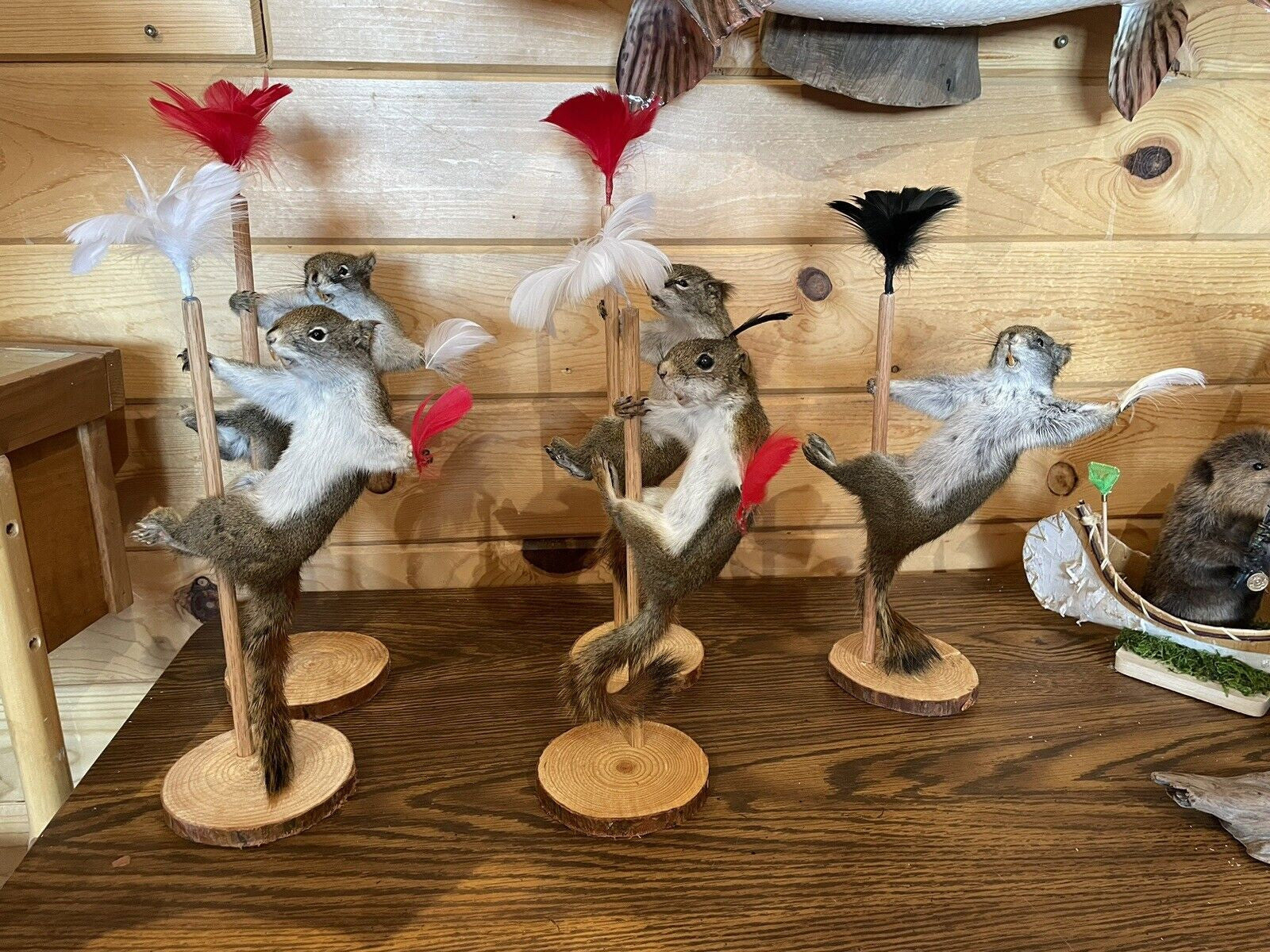 Beautiful Dancing  Red Squirrel Small Animal Taxidermy Mount Art Wildlife