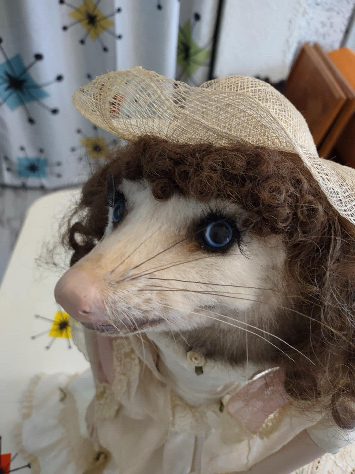 Nice NEW O'Possum Lifesize Mount  Taxidermy Log Cabin