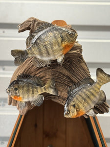 Real Skin Beautiful Sunfish Fish Taxidermy Wall Mount