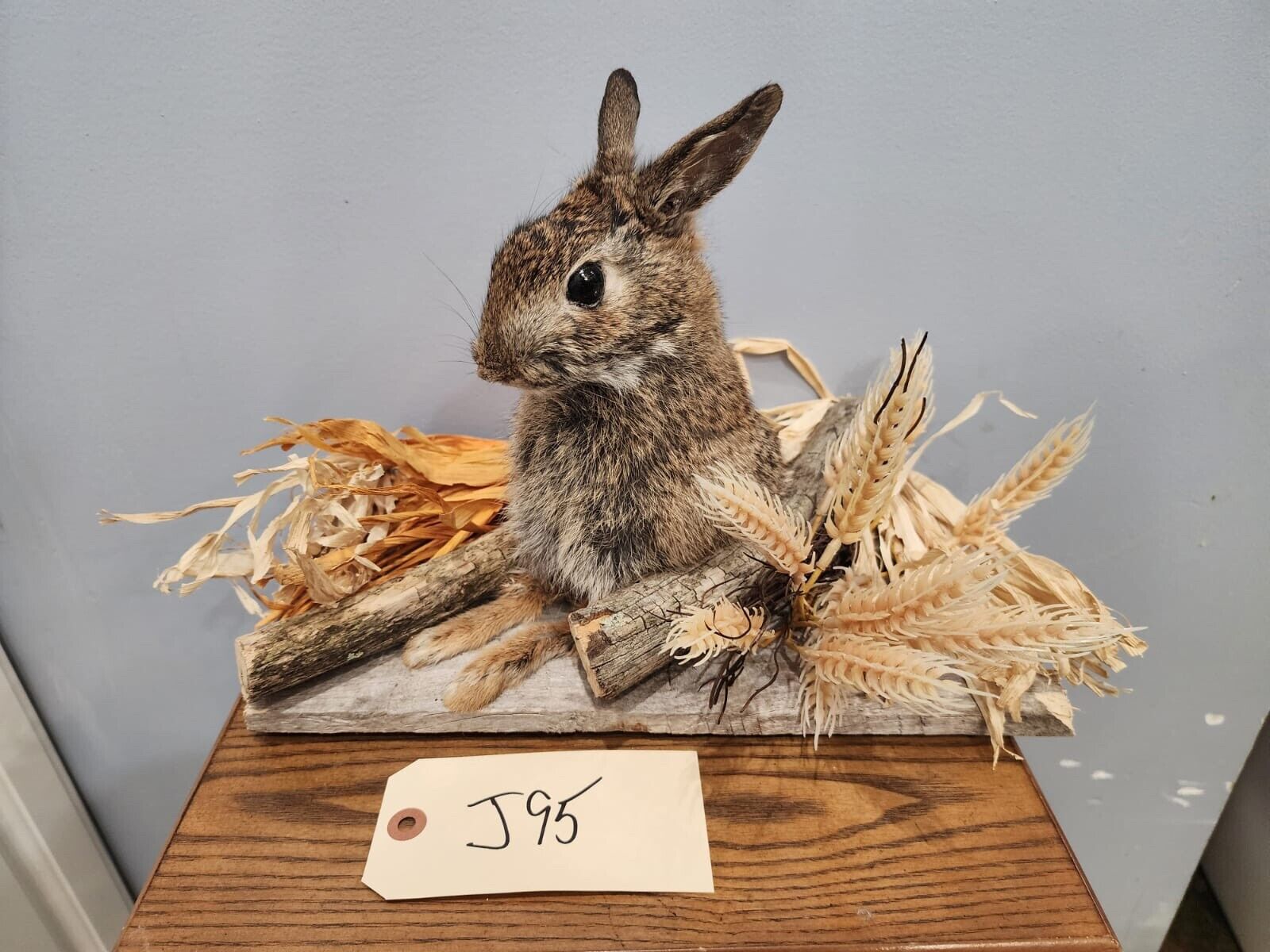 Taxidermy, CUTE, SOFT, Cottontail Rabbit, Easter Bunny Log Cabin Lodge